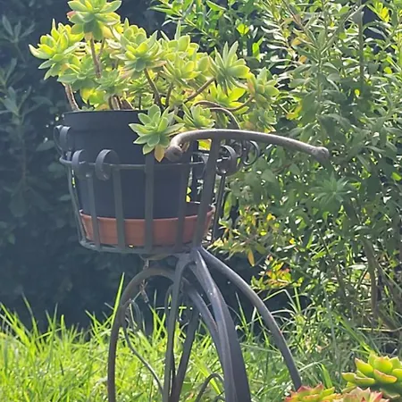 Lory House Gradara